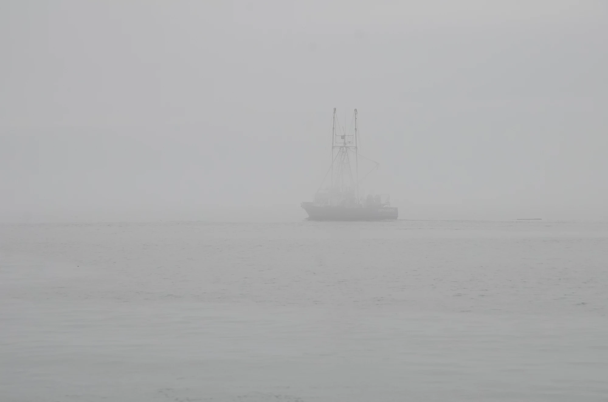 misty coast 018 — Скачать