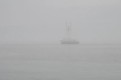 misty coast 018 — Скачать