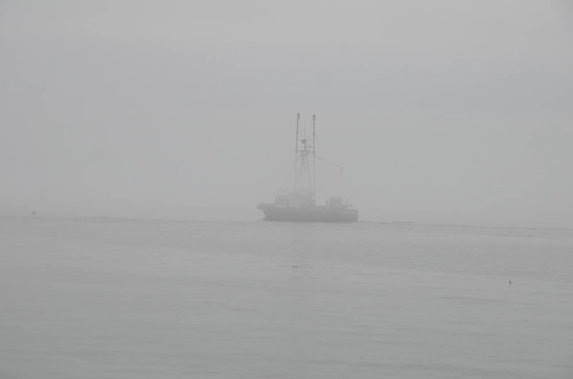 misty coast 019 — Скачать