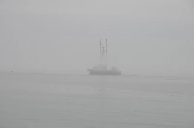 misty coast 019 — Скачать