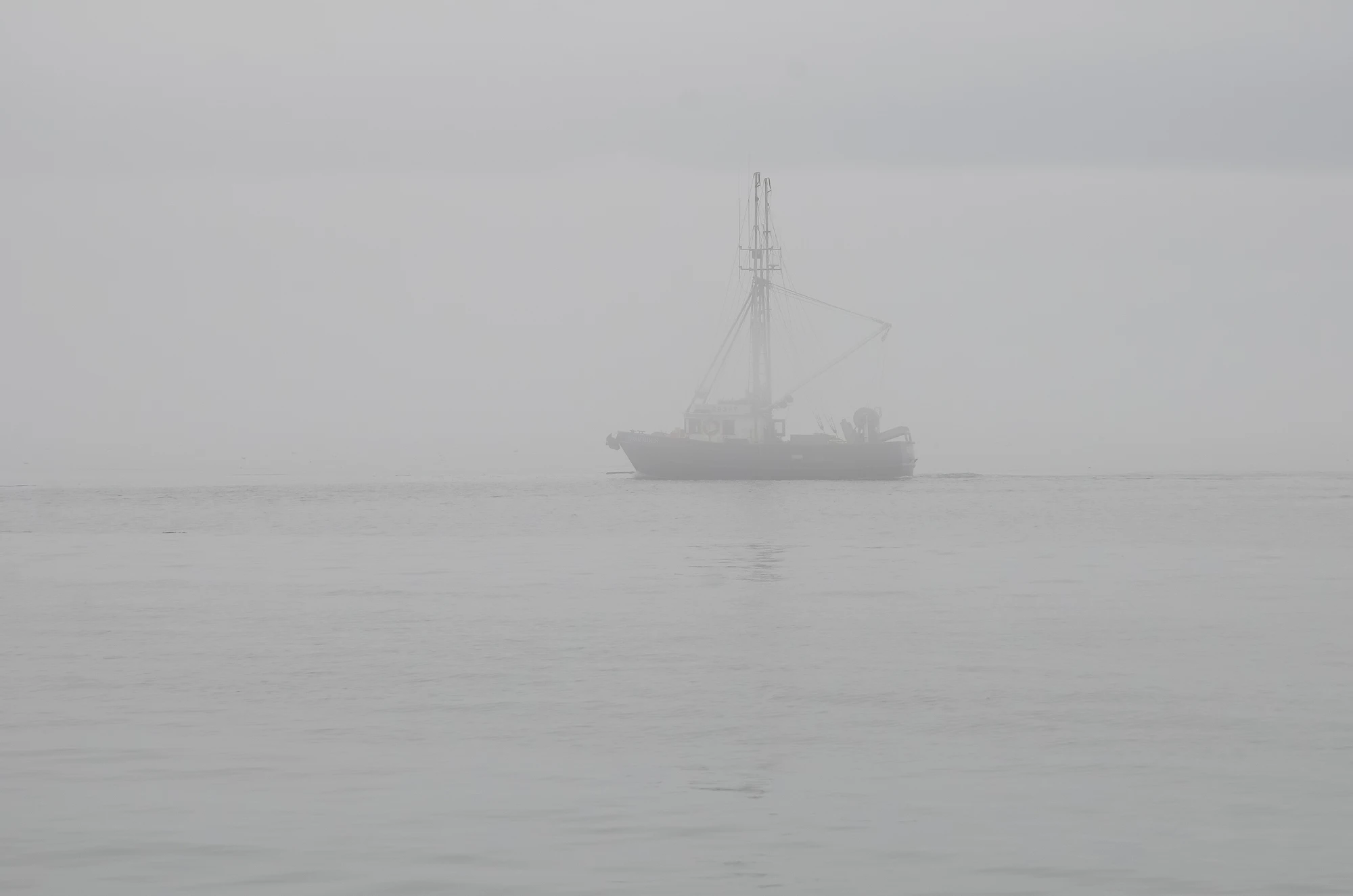 misty coast 020 — Скачать