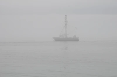 misty coast 020 — Скачать