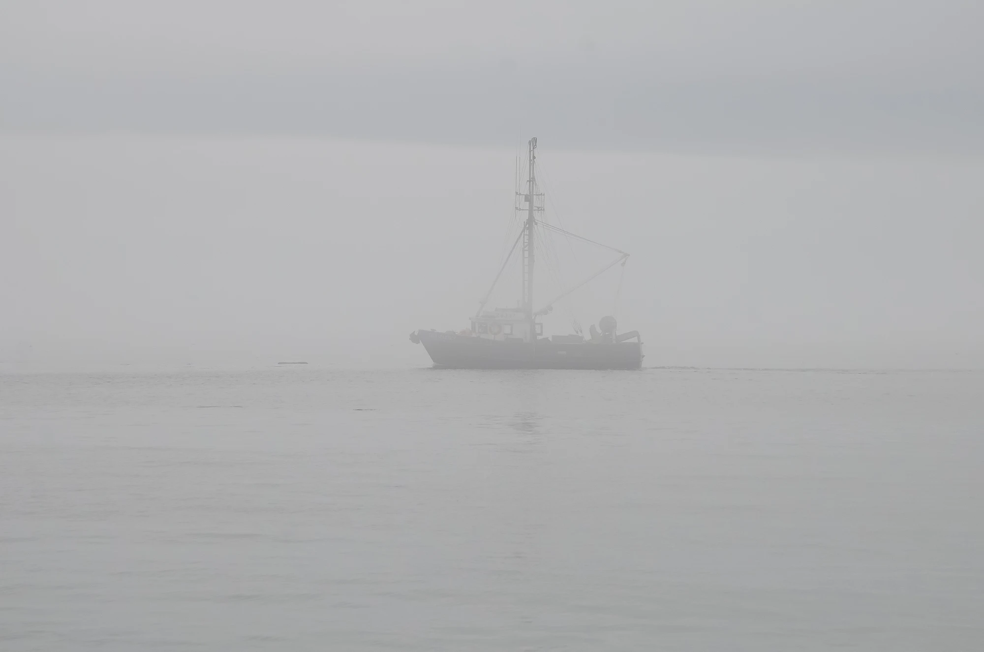 misty coast 021 — Descargar