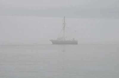 misty coast 021 — Descargar