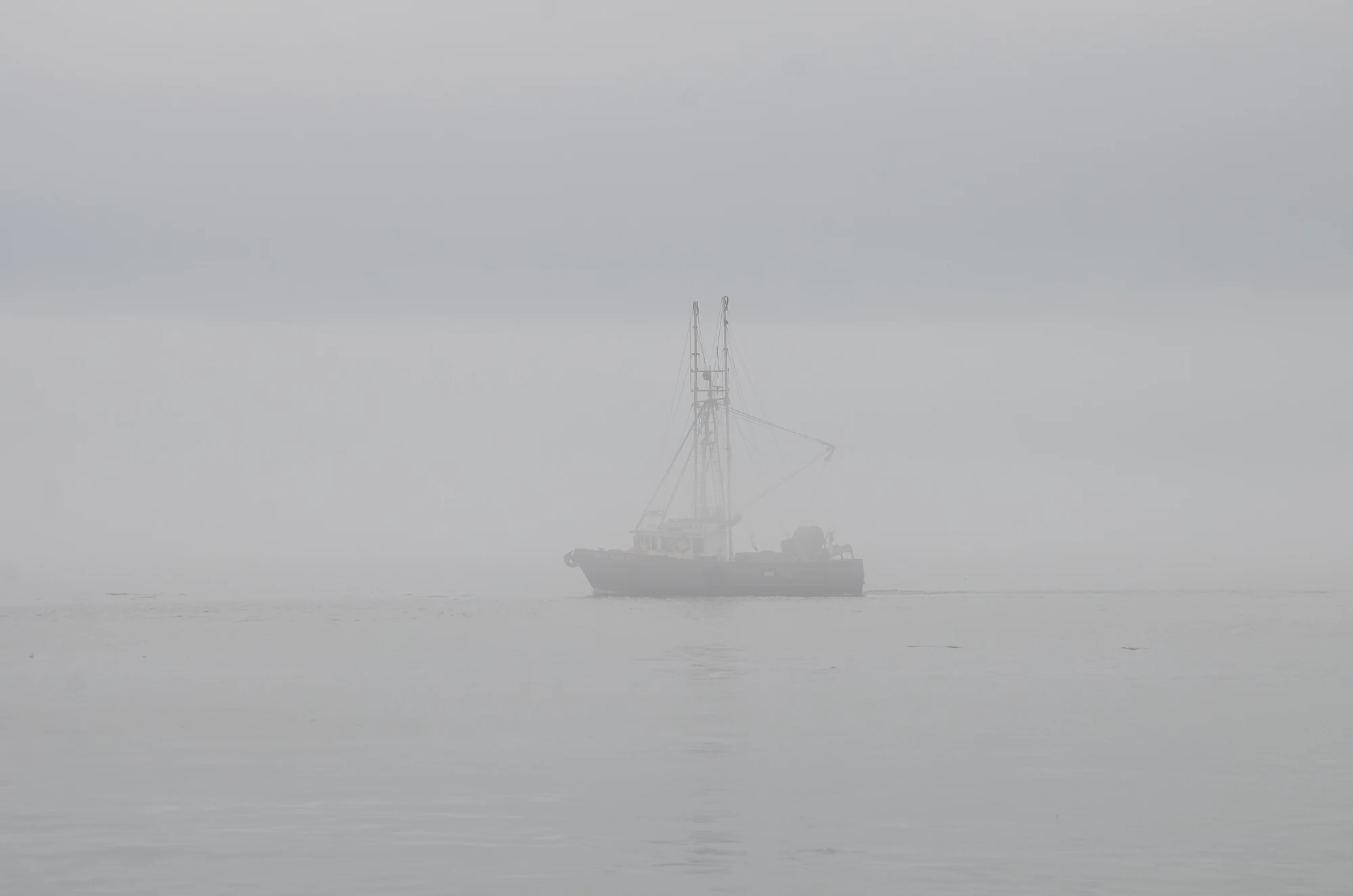 misty coast 022 — Скачать
