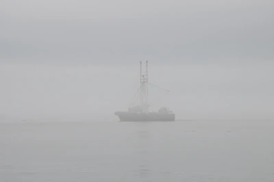 misty coast 022 — Скачать