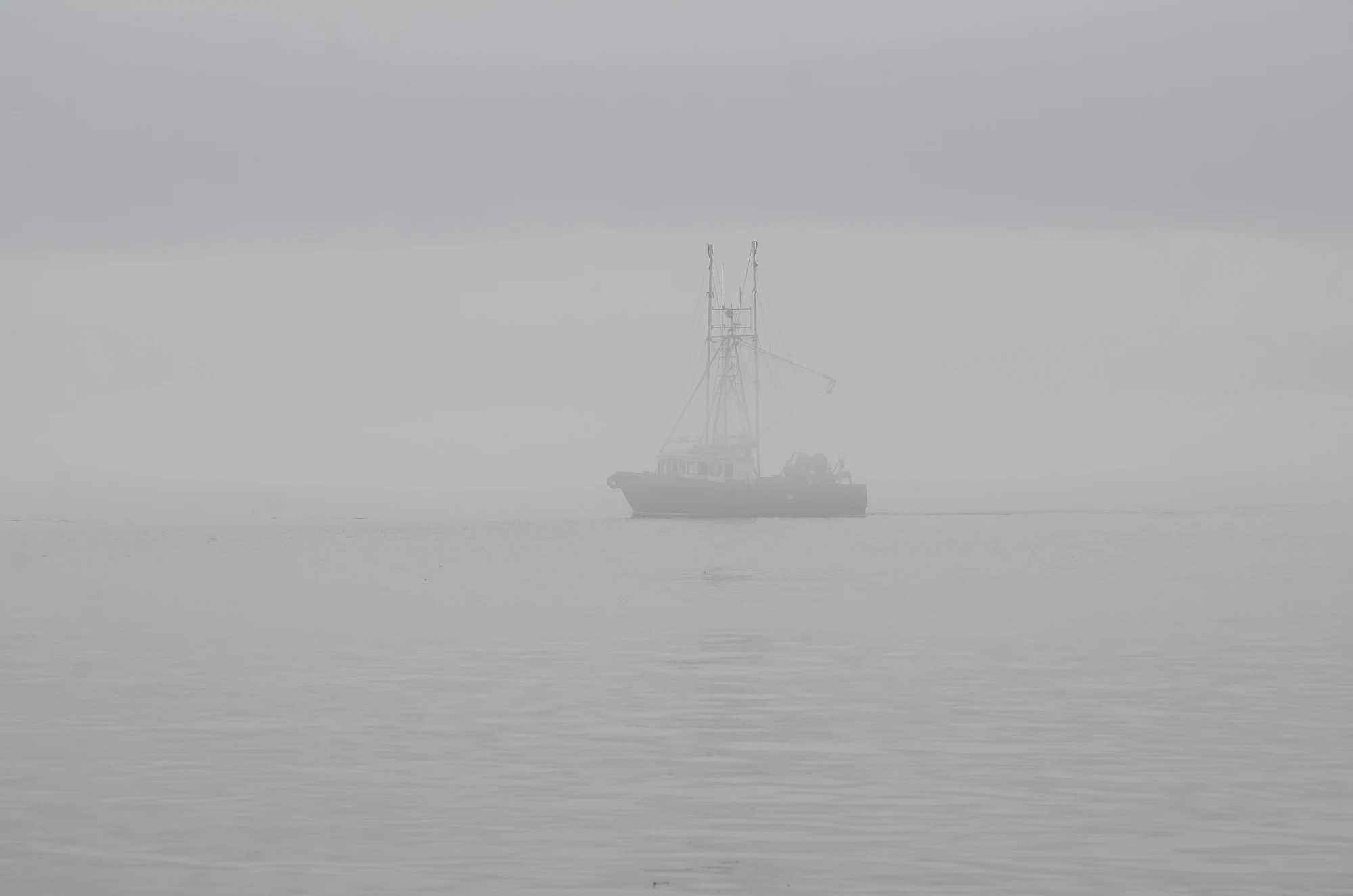 misty coast 023 — Descargar