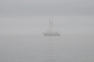 misty coast 023 — Descargar