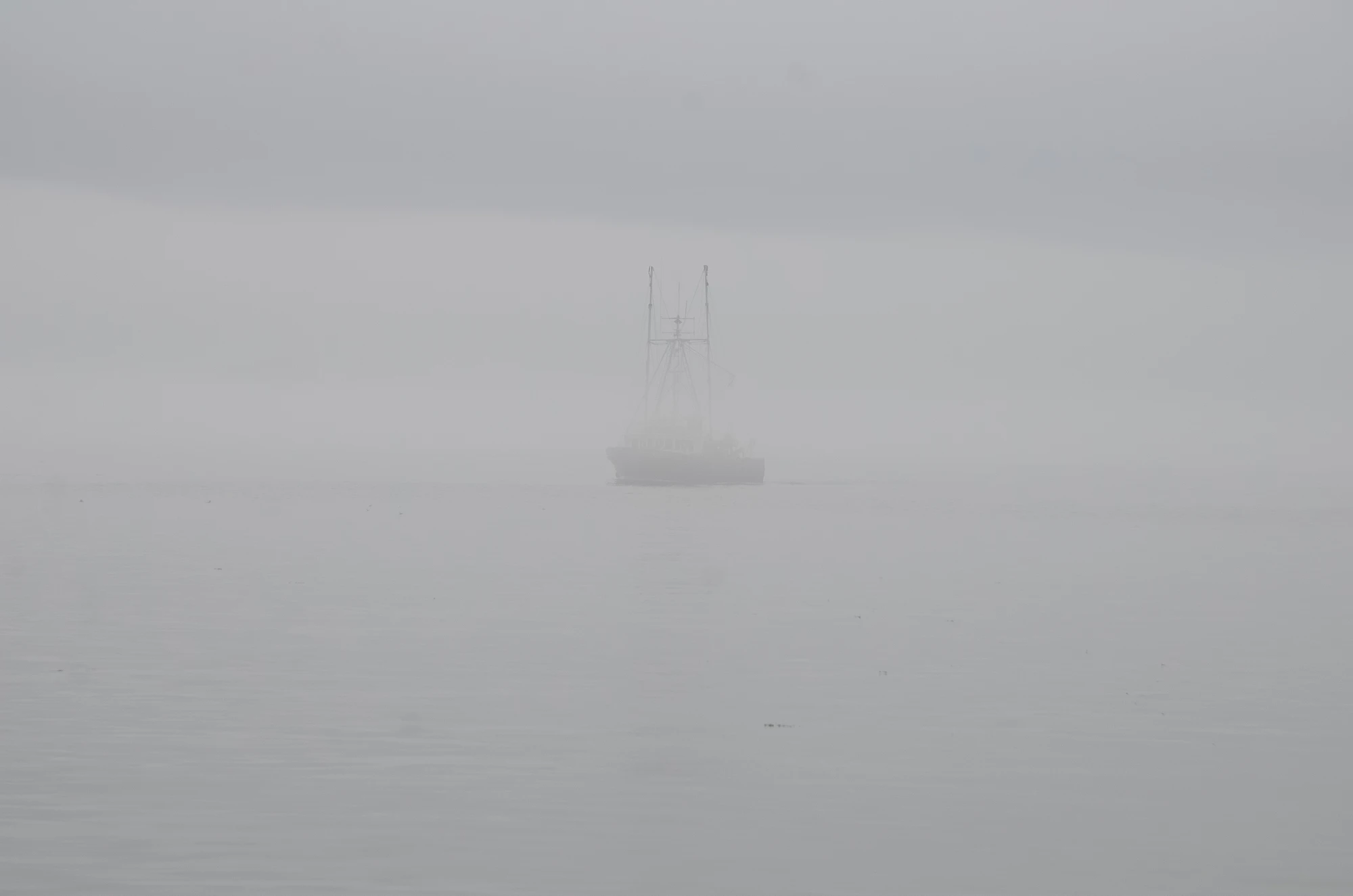 misty coast 024 — Descargar