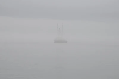 misty coast 024 — Descargar