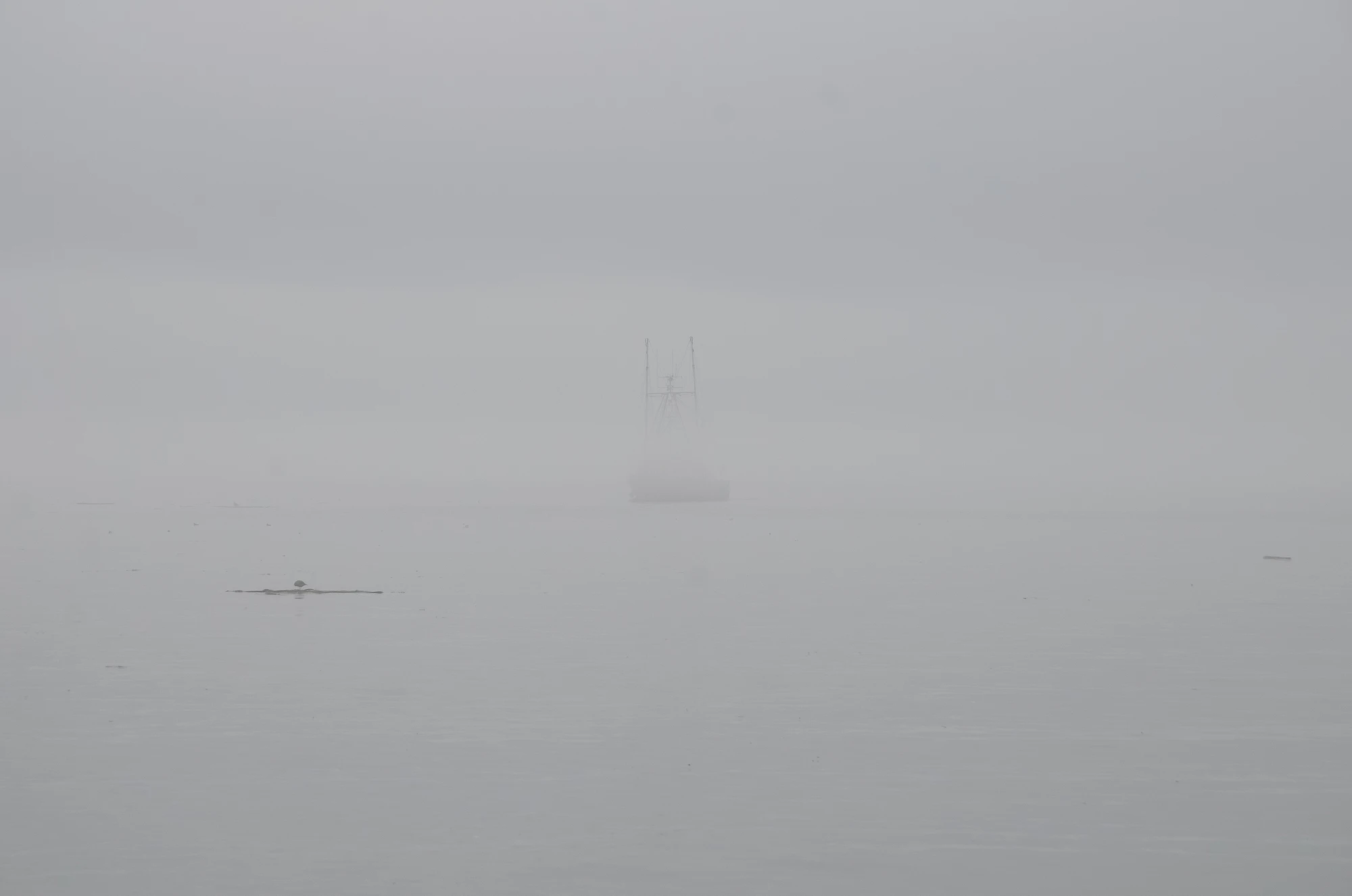 misty coast 025 — Descargar