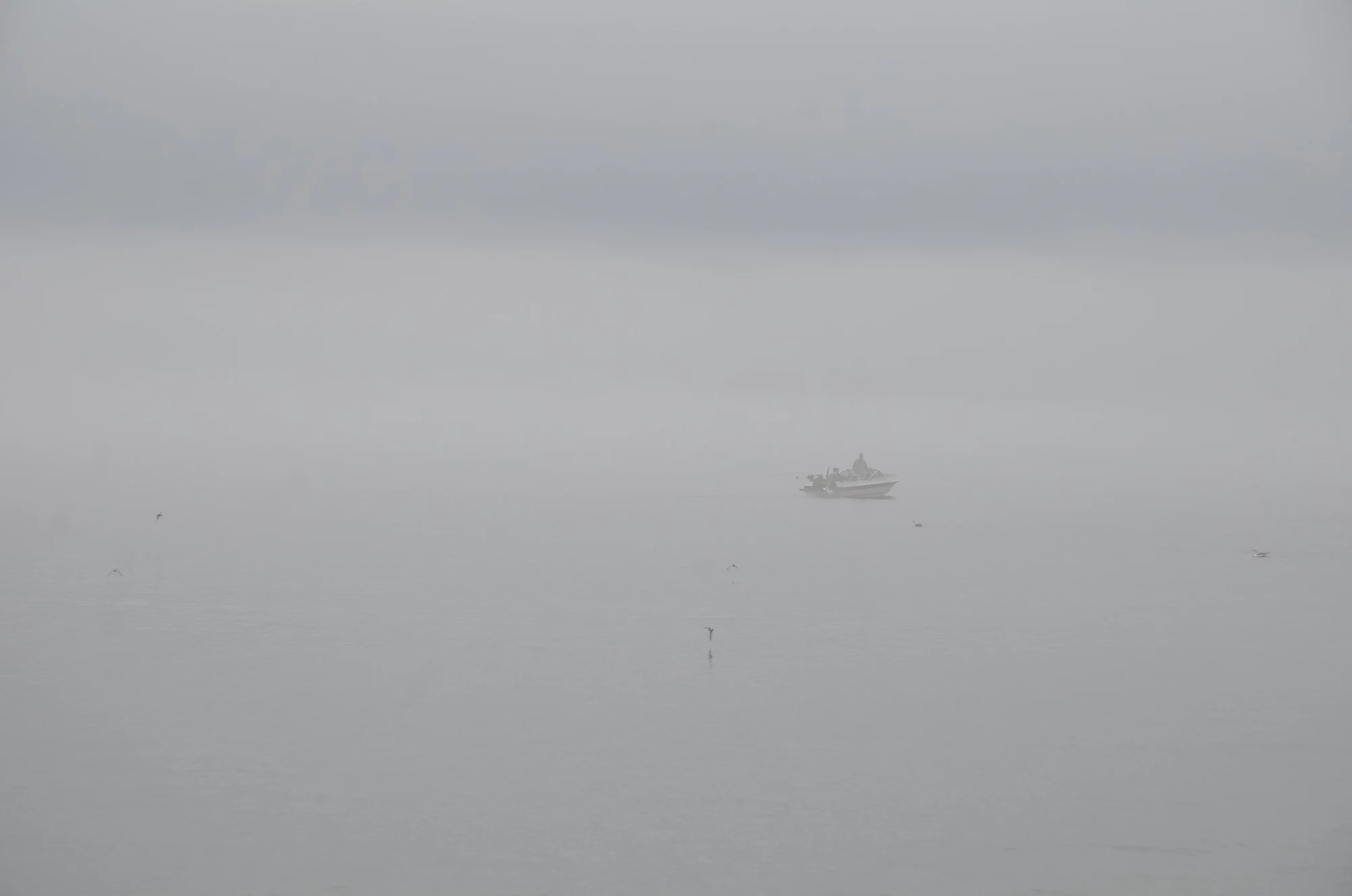 misty coast 026 — Скачать