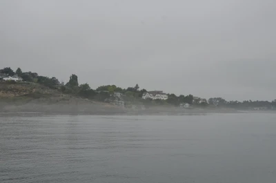 misty coast 029 — Descargar