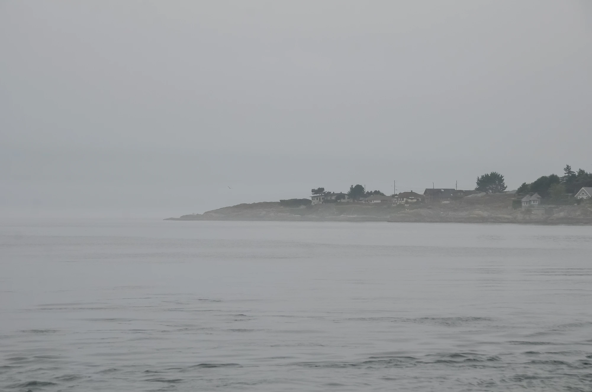 misty coast 046 — Download