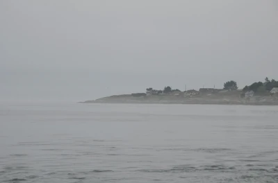 misty coast 046 — Download