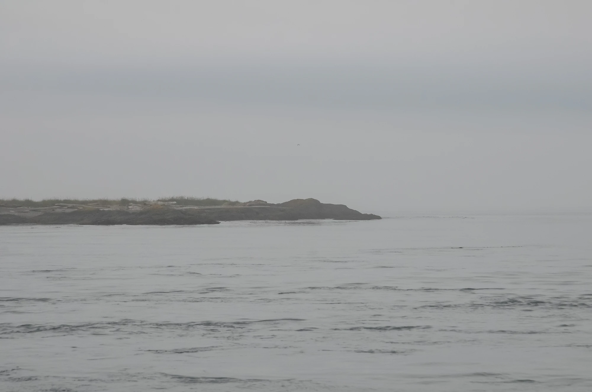 misty coast 048 — Скачать