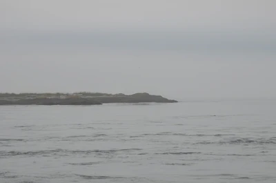 misty coast 048 — Скачать