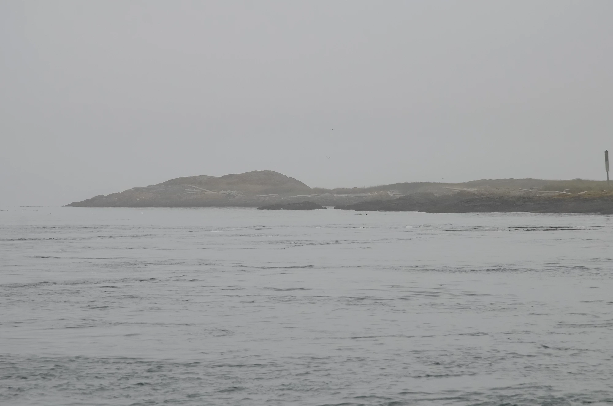 misty coast 052 — Descargar