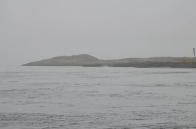 misty coast 052 — Descargar