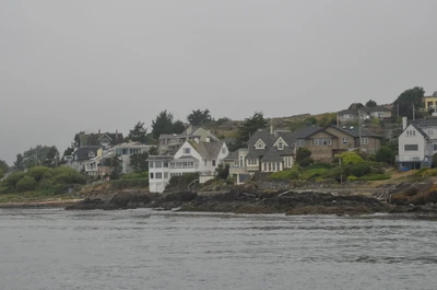 misty coast 057 — Descargar