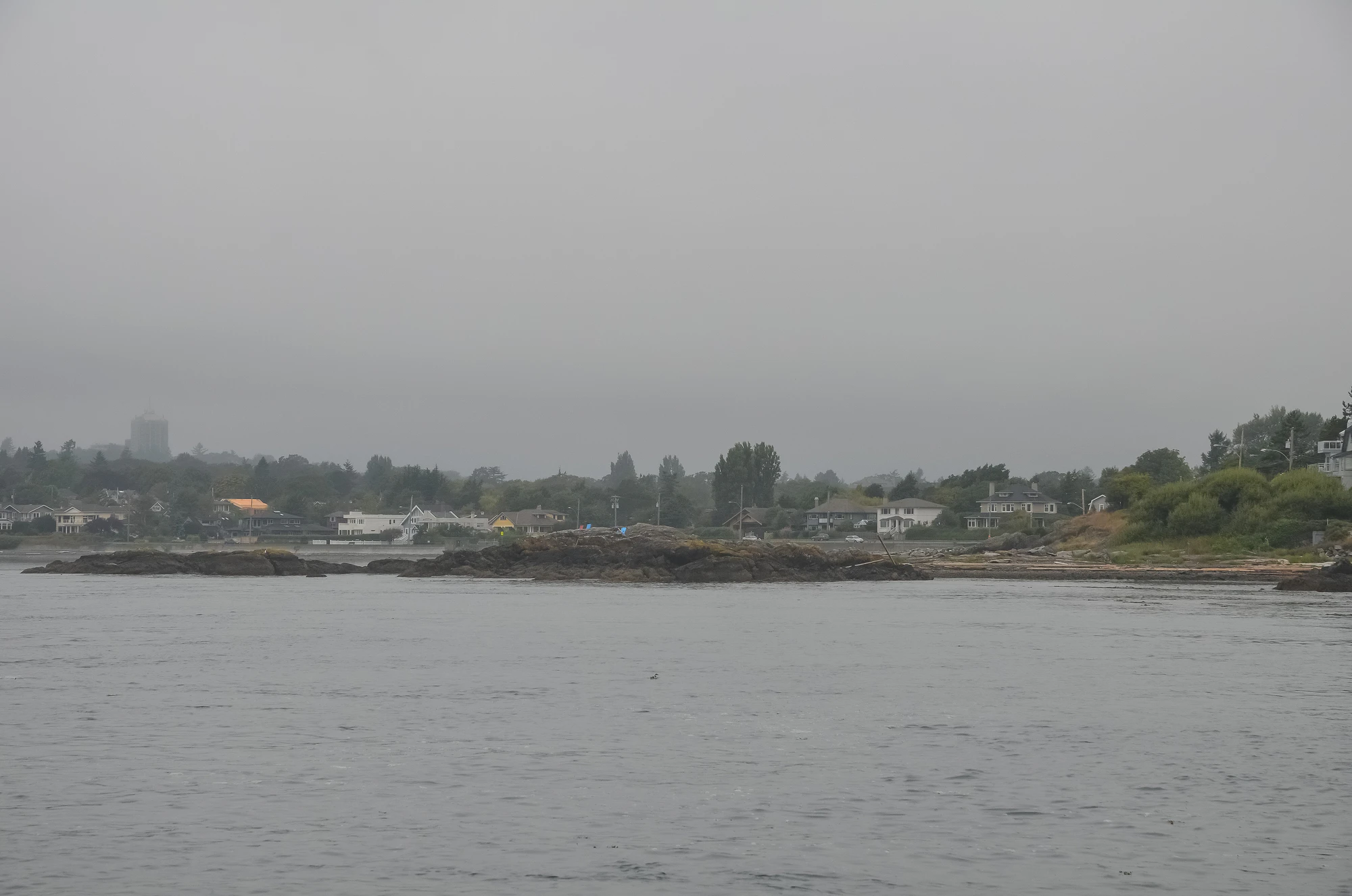 misty coast 058 — Descargar