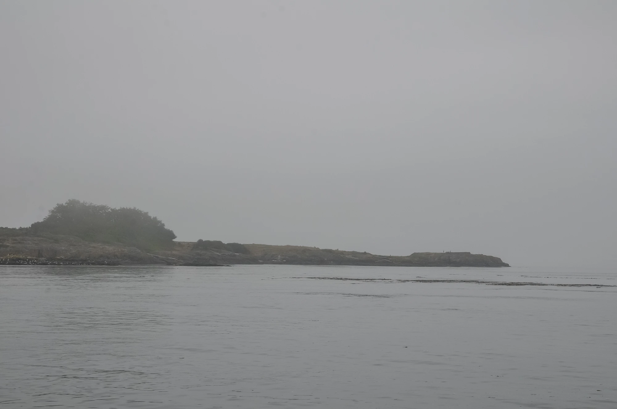 misty coast 064 — Скачать