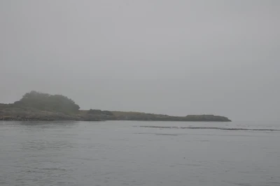 misty coast 064 — Скачать