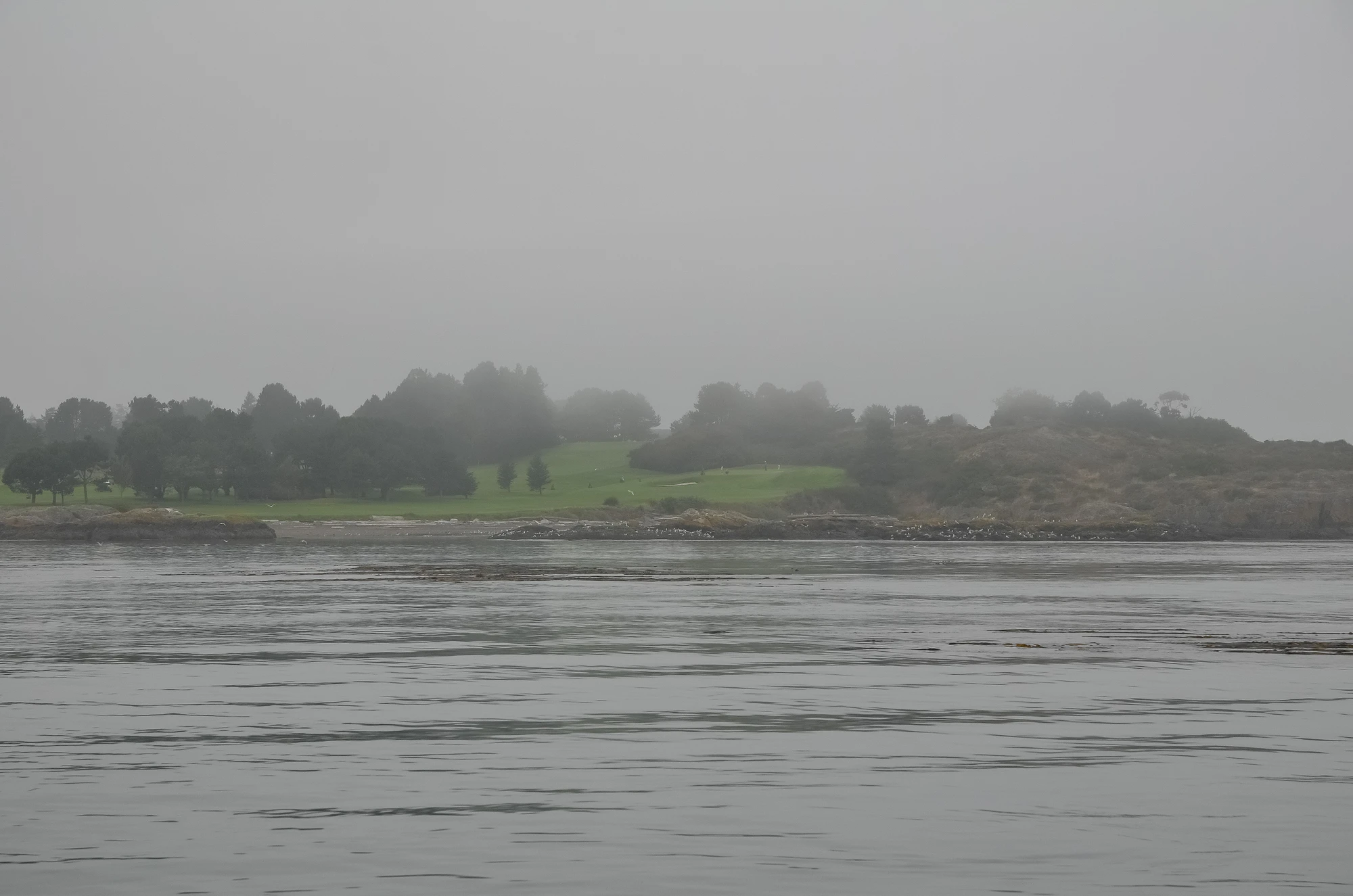 misty coast 071 — Descargar