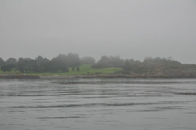 misty coast 071 — Descargar