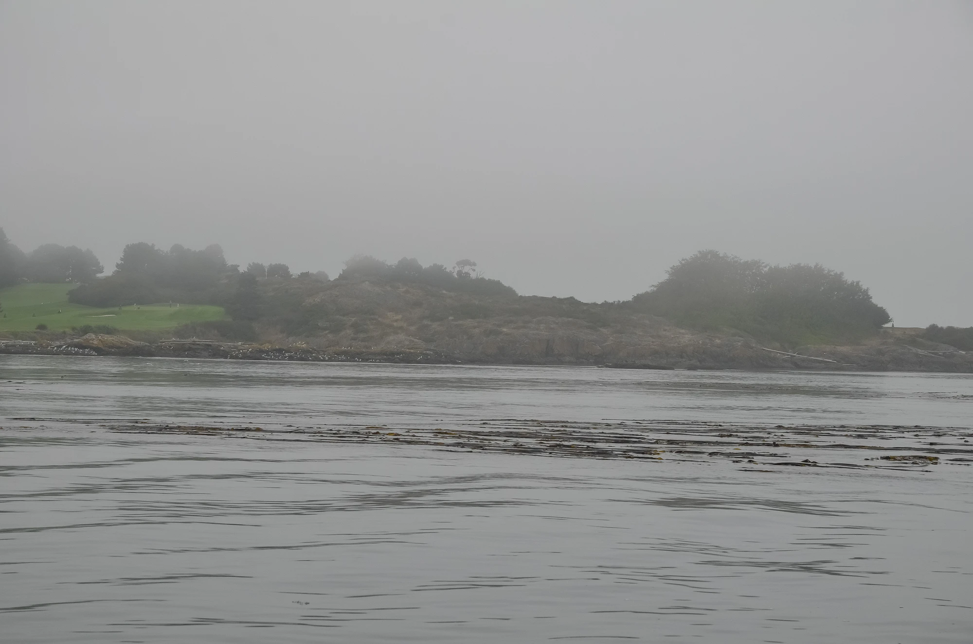misty coast 072 — Descargar