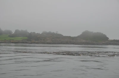 misty coast 072 — Descargar