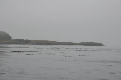 misty coast 073 — Скачать