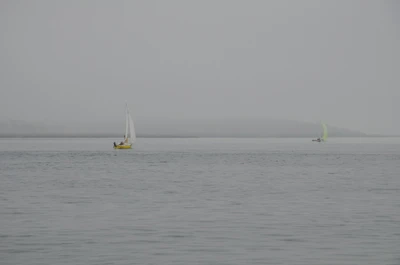 misty coast 075 — Descargar