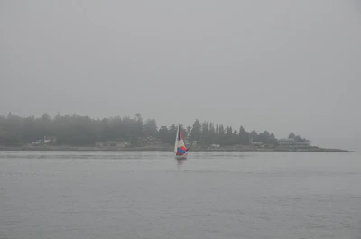 misty coast 077 — Download