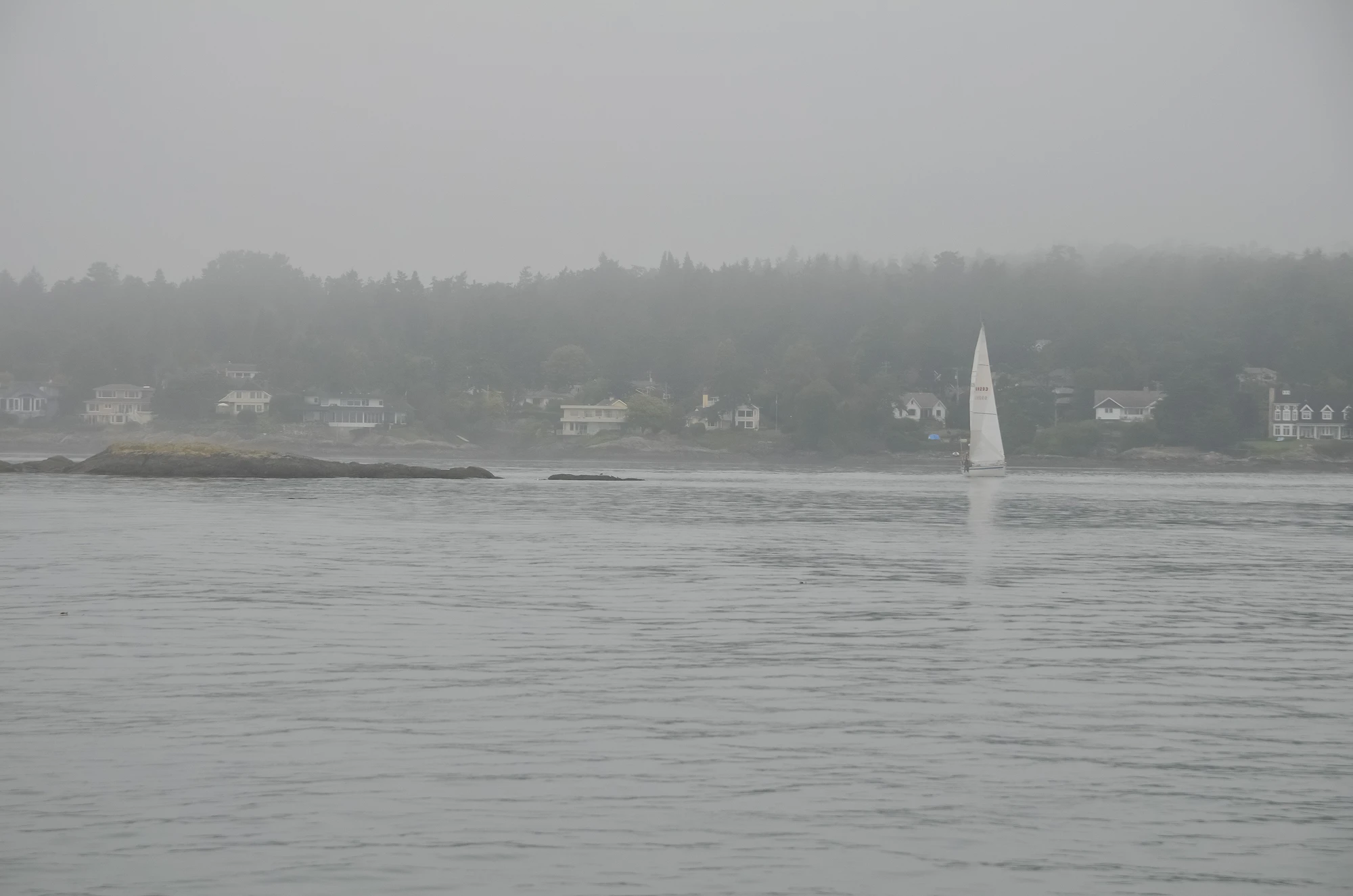 misty coast 079 — Скачать