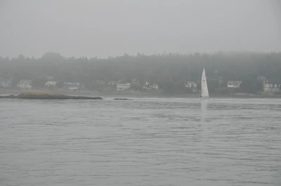 misty coast 079 — Скачать