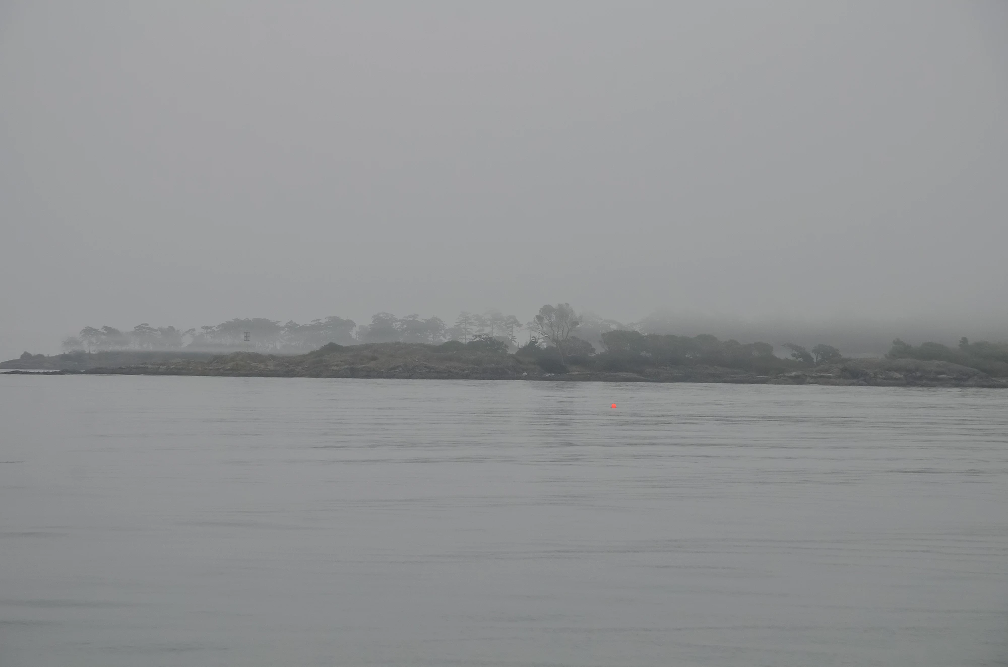 misty coast 080 — Descargar
