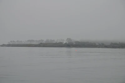 misty coast 080 — Descargar