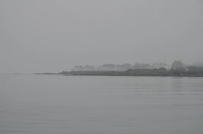 misty coast 081 — Descargar
