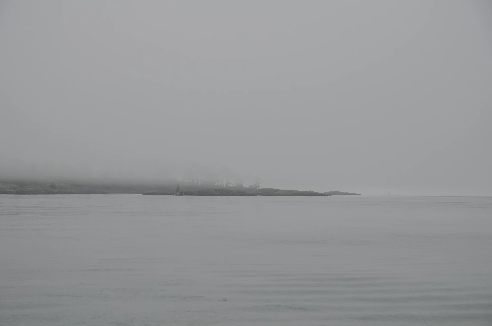 misty coast 082 — Descargar