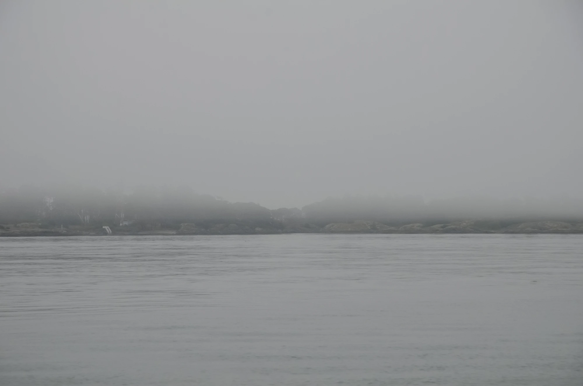 misty coast 084 — Скачать