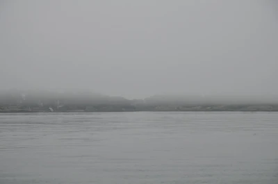 misty coast 084 — Скачать