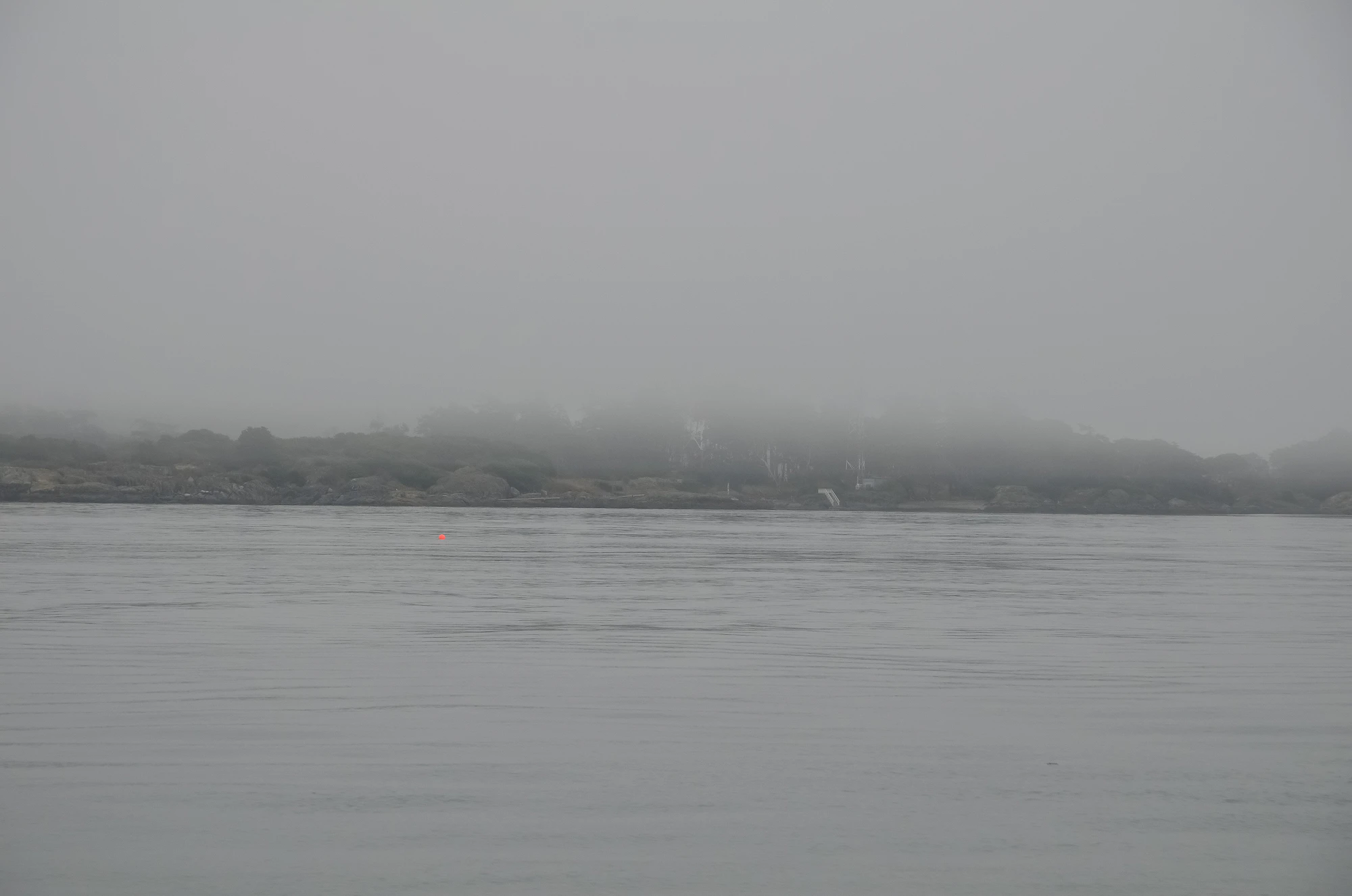 misty coast 085 — Скачать