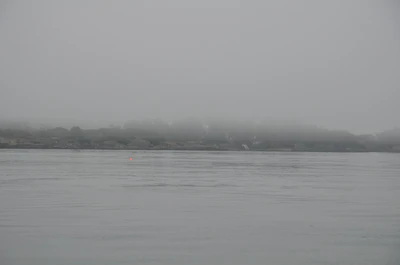 misty coast 085 — Скачать