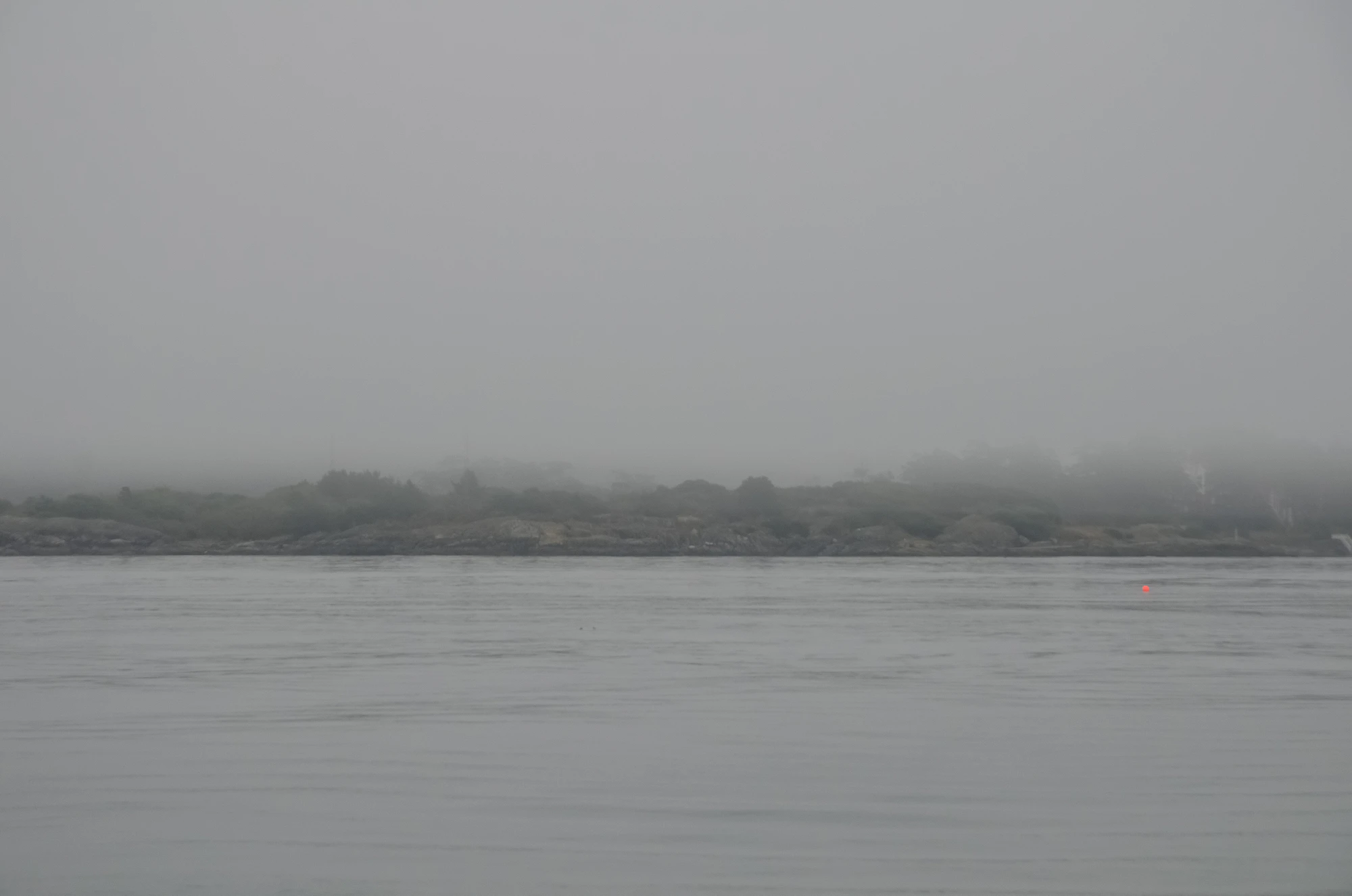 misty coast 086 — Скачать