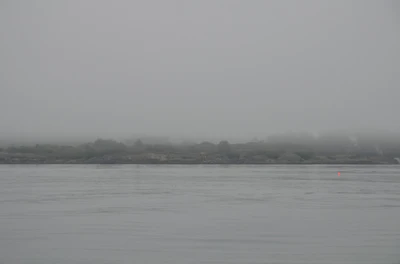 misty coast 086 — Скачать
