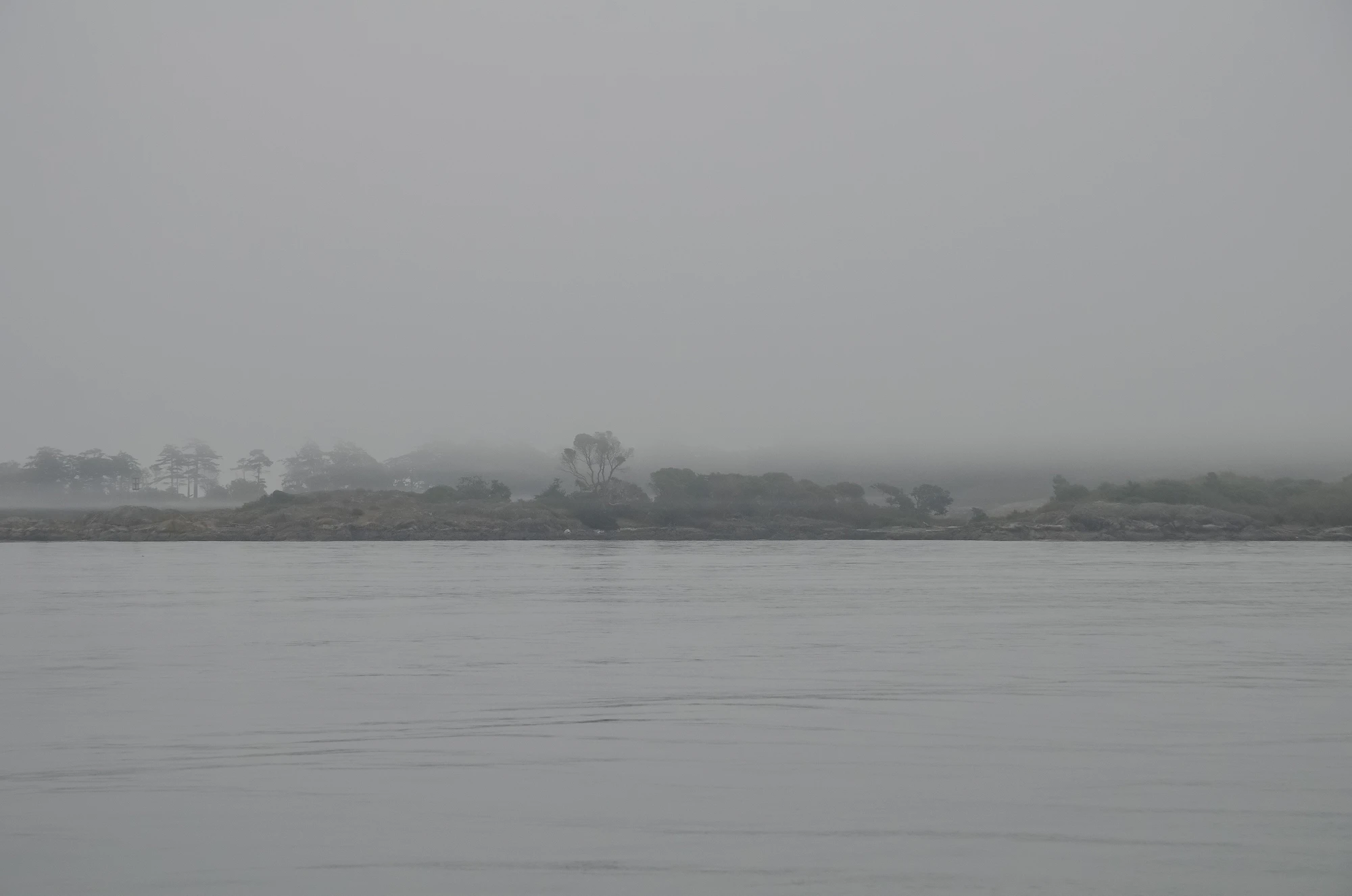 misty coast 088 — Descargar