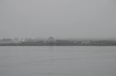 misty coast 088 — Descargar