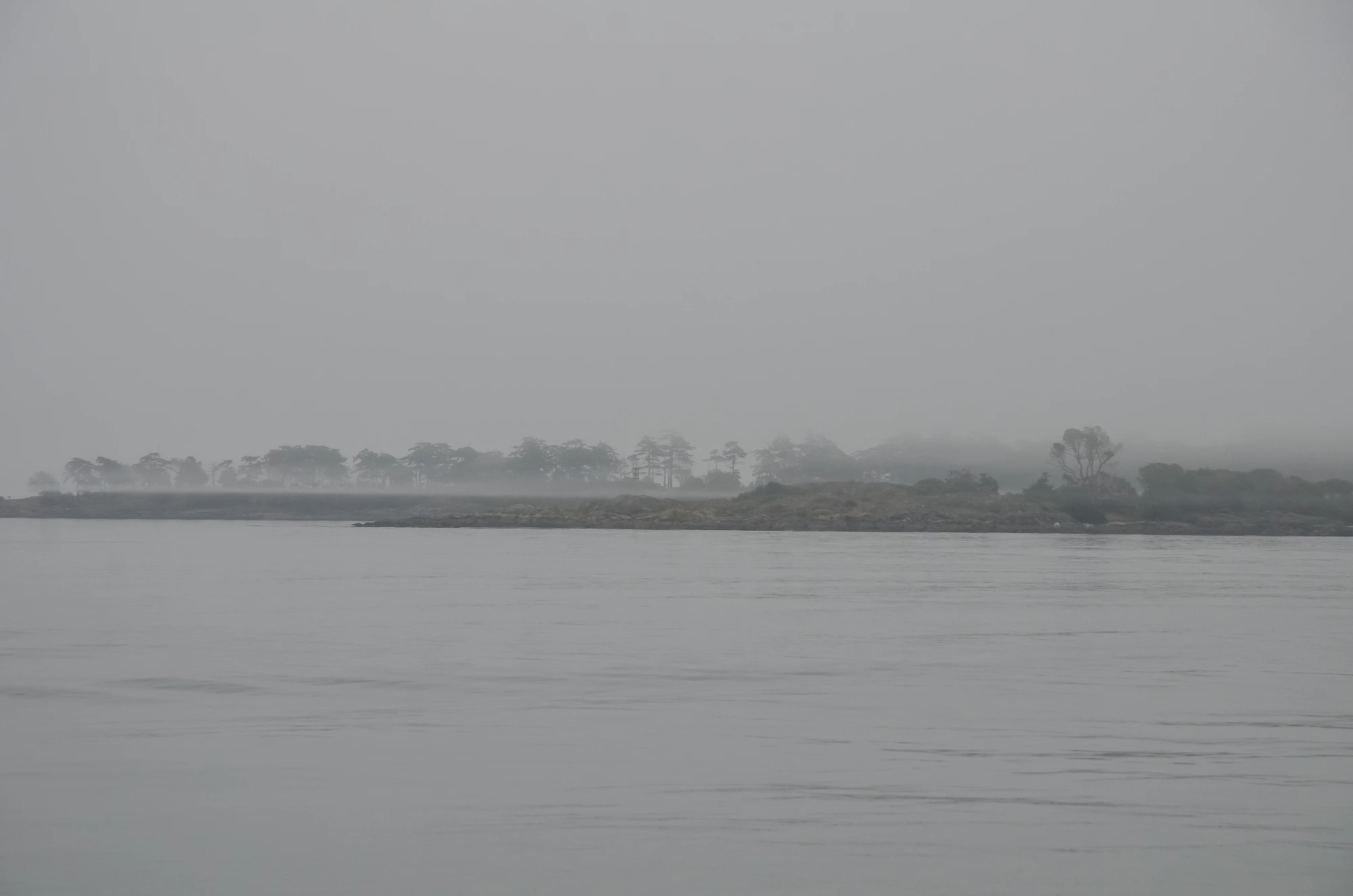 misty coast 089 — Скачать
