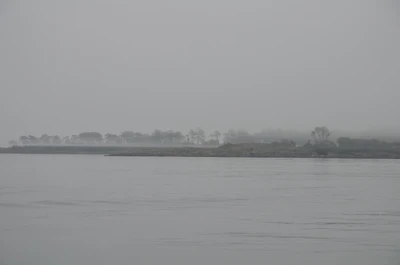misty coast 089 — Скачать